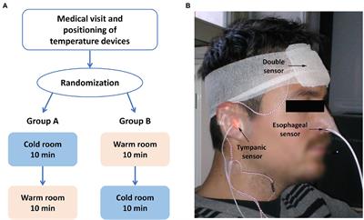 Low Ambient Temperature Exposition Impairs the Accuracy of a Non-invasive Heat-Flux Thermometer